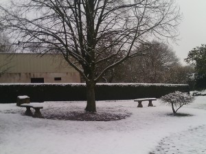 Snow in the Village