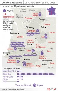 Bird Flu cases in France