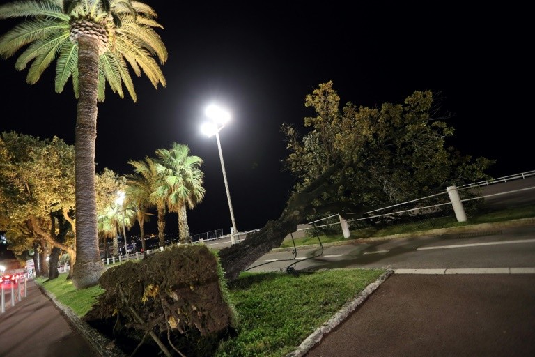 A tree ripped on the Promenade des Anglais in Nice, southern France, during the passage of the Eleanor storm, 3 January 2018