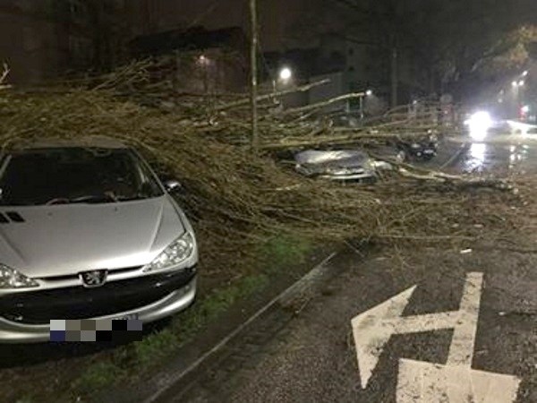 Because of the Eleanor storm, Normandy several roads were cut because of trees on the road (here in Rouen). 