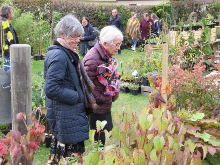 The Shamrock sale takes place route of the church in an exceptional natural setting