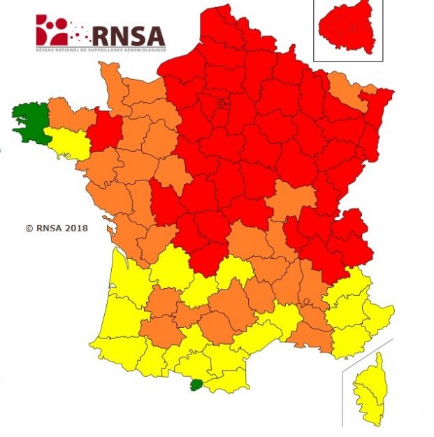 The quantities of pollen over France in the coming days