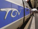 TGV hit a deer between Laval and Rennes on Thursday night. Two trains were delayed. |