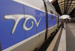 TGV hit a deer between Laval and Rennes on Thursday night. Two trains were delayed. |