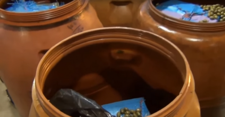 A ton of cannabis was found in olive barrels