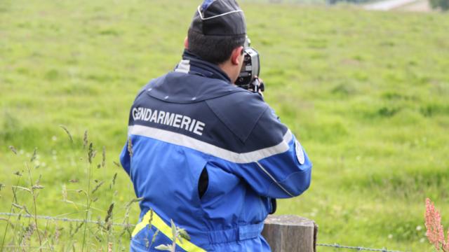 Gendarmes in the Mayenne department have withdrawn 20 Driving licences this week