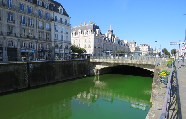 The River Viliaine had turned a Neon Green colour this morning in Rennes