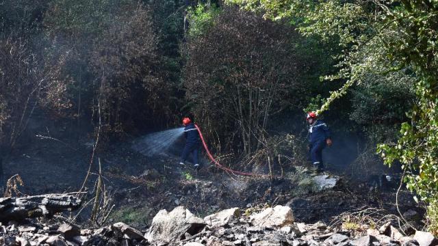 A Hectare of a forest at Saint Pierre sur Orthe took three hours for firefighters to extinguish