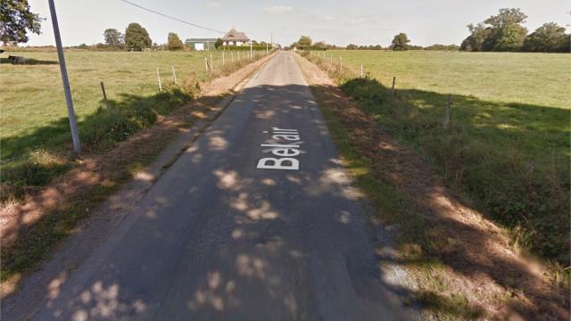 33 pigs killed in a road accident in the Mayenne