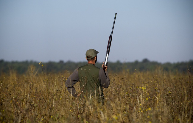 Two hunters have been killed in seperate hunting accidents in the Midi-Pyrenees