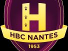 Nantes handball secure 2nd place
