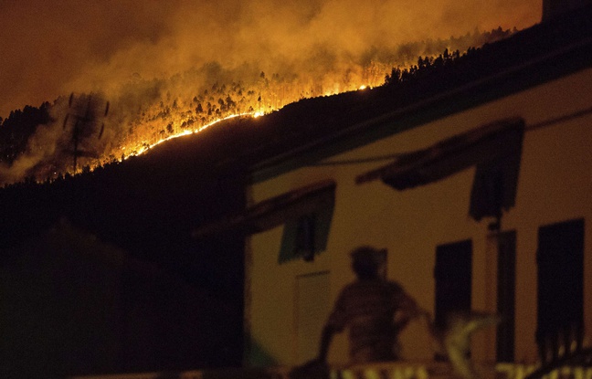 A fierce forest fire in Portugal left at least 62 dead, according to the latest balance sheet