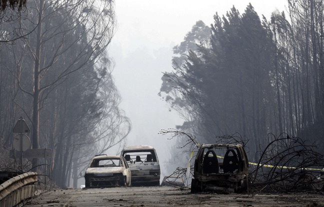 Forest fire in Portugal has left 62 dead