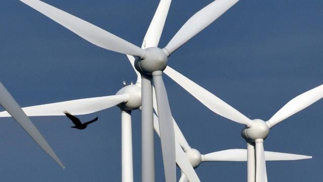 The Rennes Administrative Court canceled the permit to build 16 wind turbines in forest Lanouée, Morbihan.