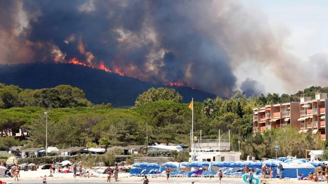 1500 hectares have been burnt from fires in Corsica