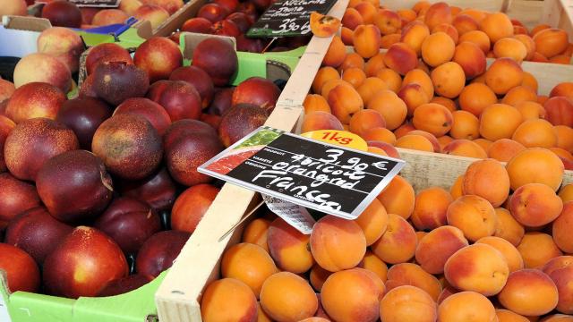 This summer, the prices of fruits and vegetables were lower than last year.