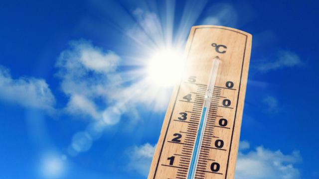 Meteo France has placed eight departments on Orange Alert for a heatwave