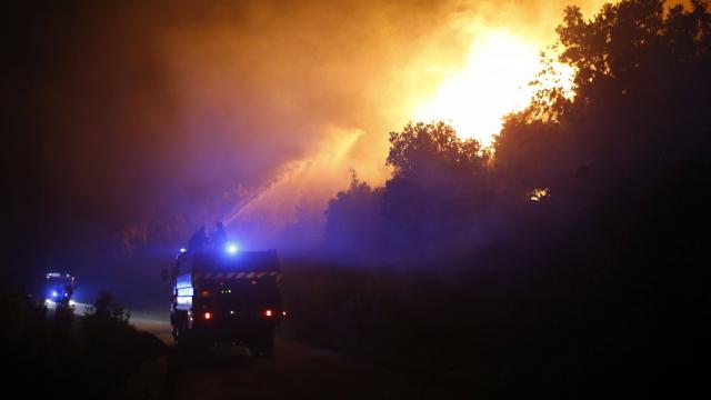 1,600 hectares of vegetation went up in smoke in Haute-Corse in 24 hours.