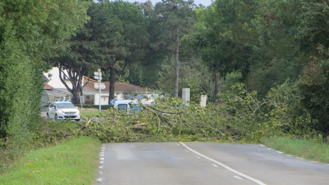 High Winds across CXôtes d'Armor have left 1300 homes without electricity