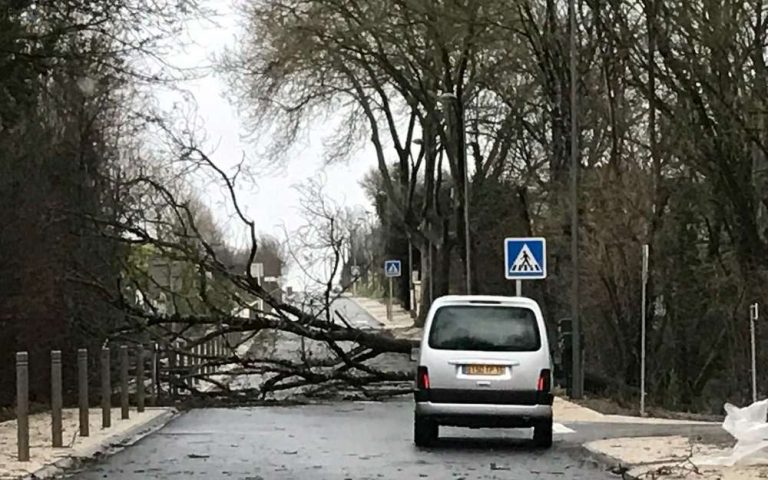 Trees fell on several roads Charente Wednesday morning