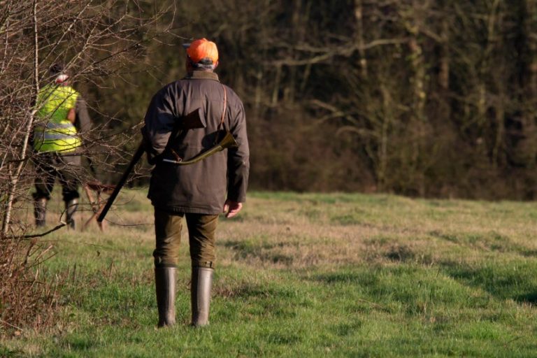 Hunting: The Price of the National Permit will Drop from 400 to 200 Euros 1