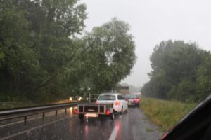 A few kilometers from Chateauneuf, on the Nationale 176, in the Dol-Dinan direction, a tree was lying on the road this morning around 9 am and paralyzed the traffic on this axis.