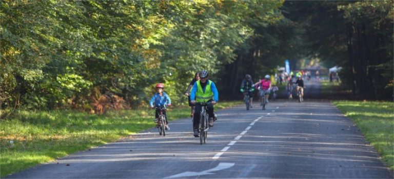 Fontainebleu forest will be open for cyclists on Sunday