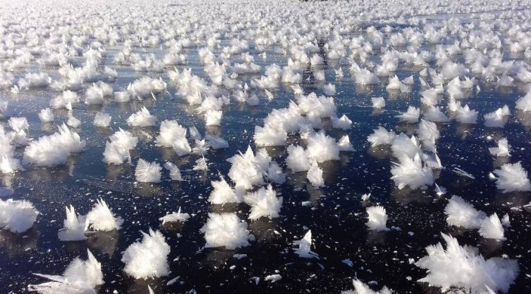 Ice flowers have appeared in Russia, on a lake not far from Chelyabinsk. | D.R.