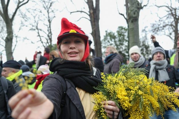 A protester "yellow vest" offers strands of mimosa, Saturday, January 19, 2019 in Paris.