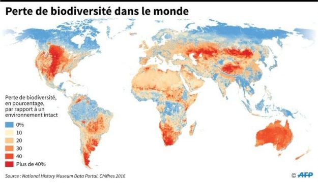 Loss of biodiversity in the world.
