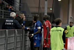 Ligue 1 football match Dijon and Amiens interrupted after racist chants