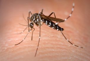 The tiger mosquito is spreading across departments in France
