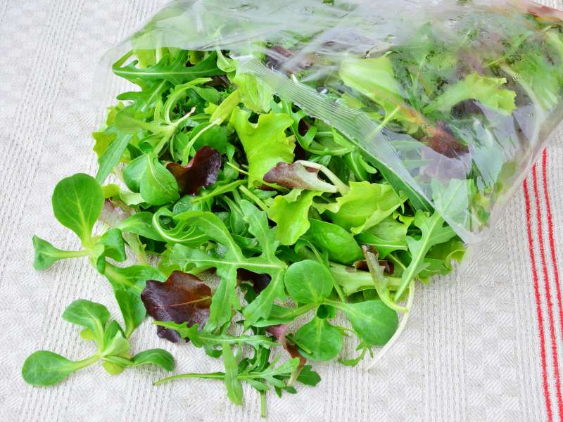 Salads in Sachets are gaining popularity with the French