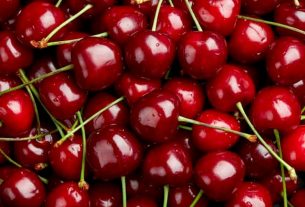 If the bigarreau is the favorite cherry of the French, other varieties also appeal to consumers.
