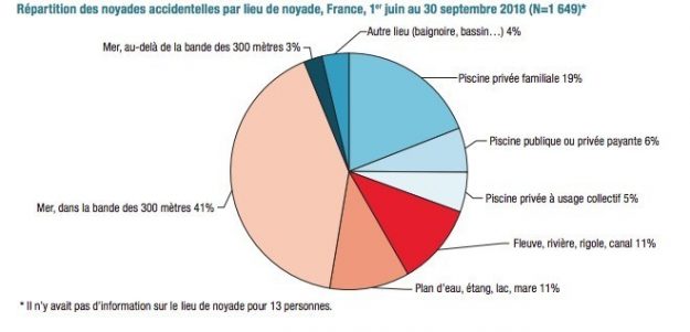 Breakdown of accidental drownings by drowning ground, France, 1 June to 30 September 2018 (N = 1,649) 