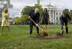 US President Donald Trump and his French counterpart Emmanuel Macron plant a tree, a gift from France, to the White House on April 23, 2018.