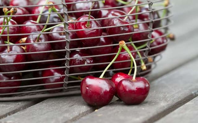 Four large families of cherries are consumed in France. And for each of them, the use differs!