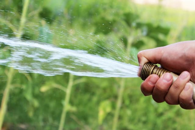 Drought is spreading in France, water restriction measures have been taken in 61 departments.