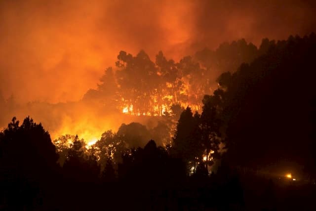 Last fire on the Spanish island of Gran Canaria, August 17, 2019.