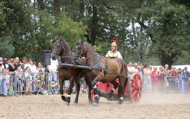 Herbignac: return to the Middle Ages at the Château de Ranrouët Sunday 11 August