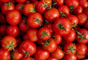 The quality and taste of tomatoes are far from satisfactory in the eyes of the French