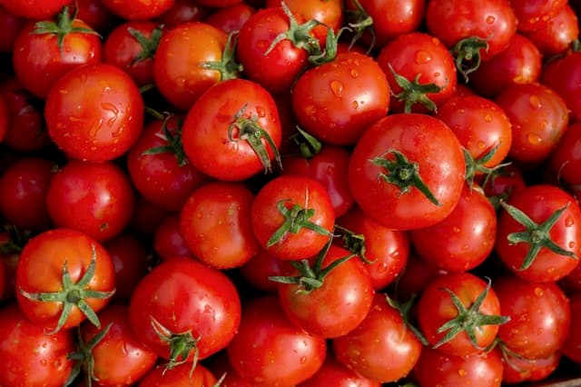 The quality and taste of tomatoes are far from satisfactory in the eyes of the French