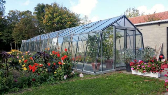 To make sure you do not go wrong before you start buying a greenhouse, determine your needs in terms of floor space, height and volume.