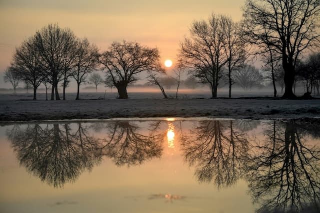 Sunrise over the frosty countryside near Lavau-sur-Loire (western France), January 21, 2019.