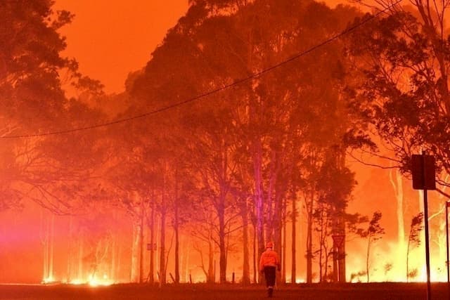 Gigantic fires near the town of Nowra (New South Wales), December 31, 2019.