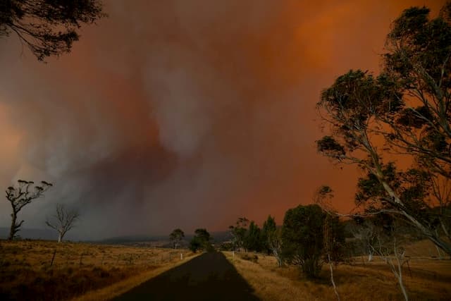 Fire in Braemar Bay, New South Wales, January 4, 2020. 