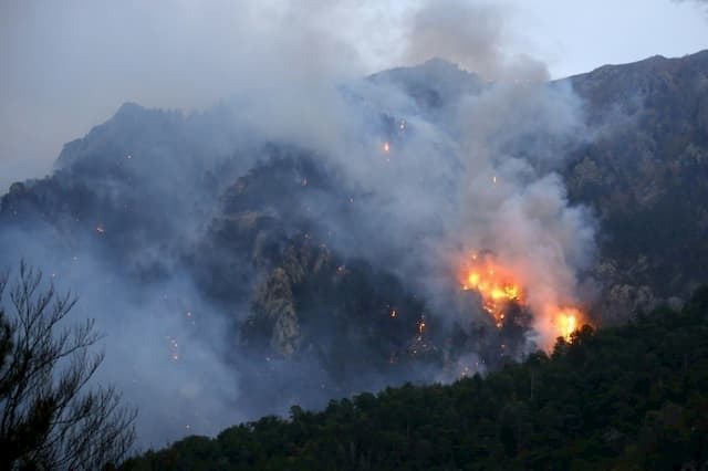 Fire in Corsica