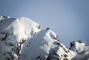 The bear surprised at the top of a mountain in the Hautes-Pyrénées, April 4, 2020