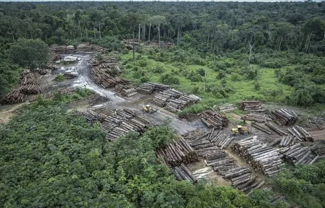 In Brazil, record deforestation in the Amazon since January