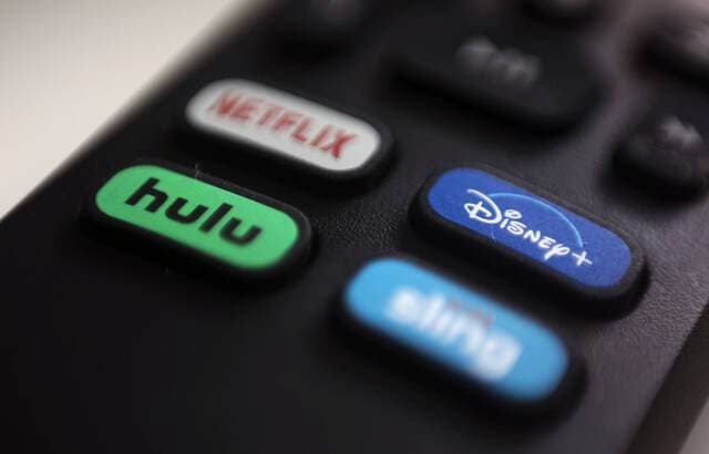 French subscribers to video streaming platforms spend 15 euros per month on it, according to a report by CSA and Hadopi published on March 8, 2021